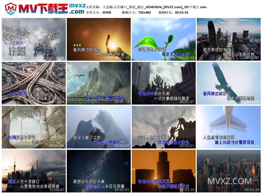 王志刚-人生路口_国语_流行_MD403834